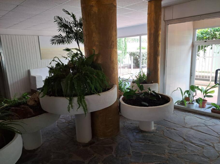 Holiday Center Apartamento Vistas Mar, Acceso Directo Playa Y Piscina روساس المظهر الخارجي الصورة